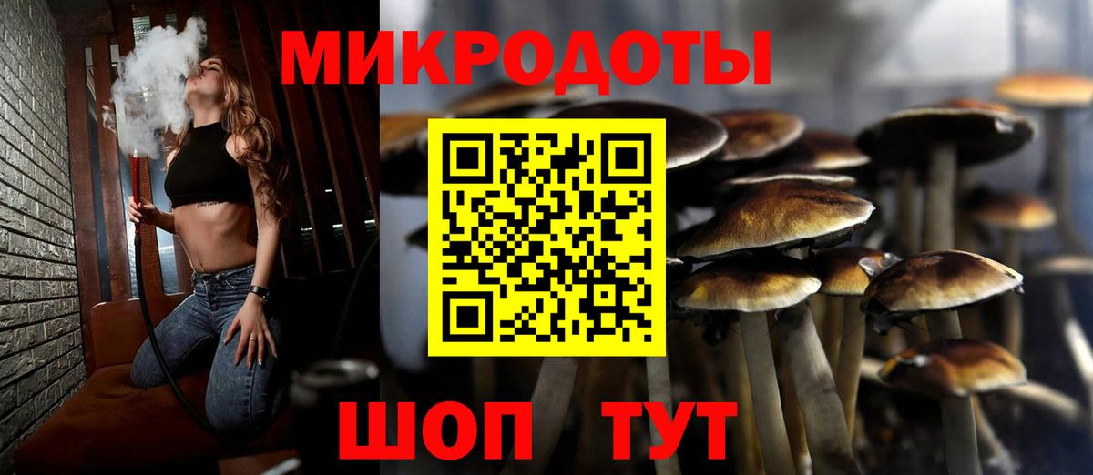 Галлюциногенные грибы Psilocybine cubensis  Вход с VPN  продажа наркотиков  Псилоцибиновые грибы Cubensis  Абакан 