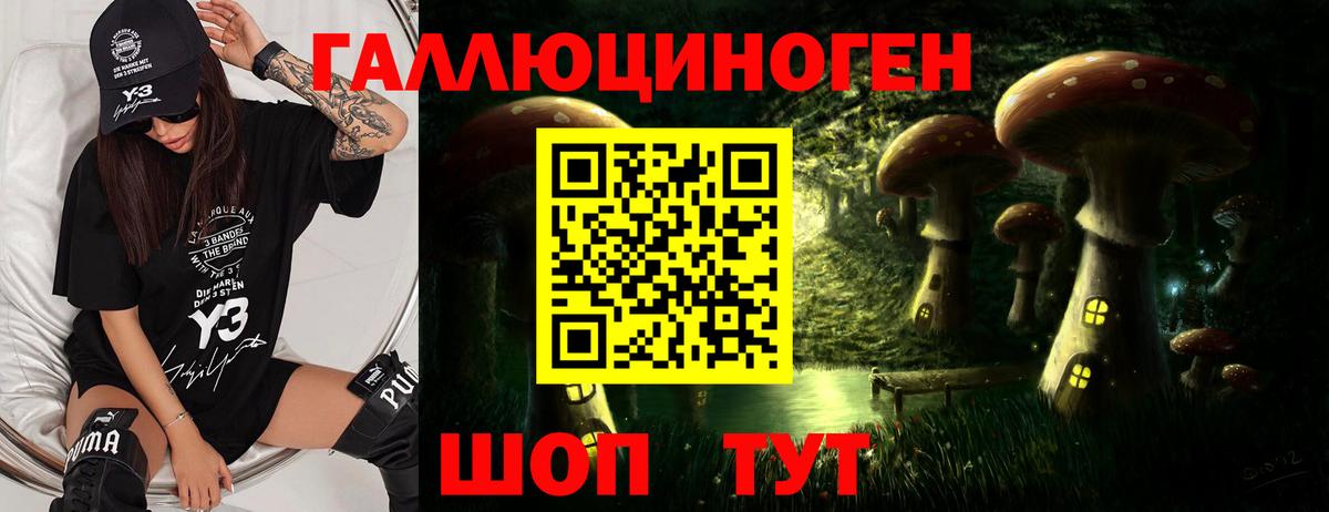 Галлюциногенные грибы Psilocybe Абакан